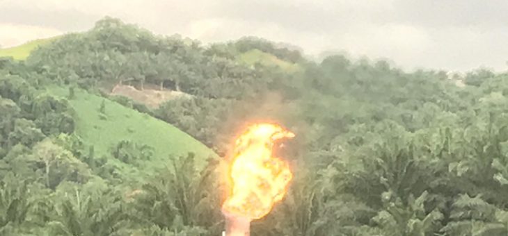 Running Biogas Plant